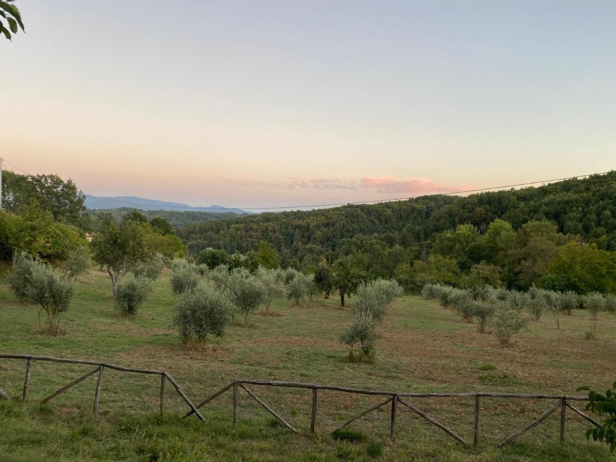 Agriturismo Borgo Serafino Mangone  Buitenkant foto